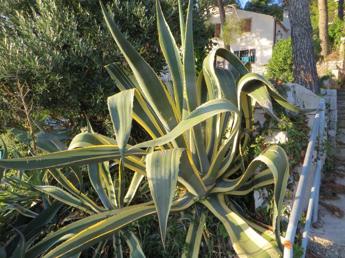 Apartment Sunshine Mali Lošinj Buitenkant foto
