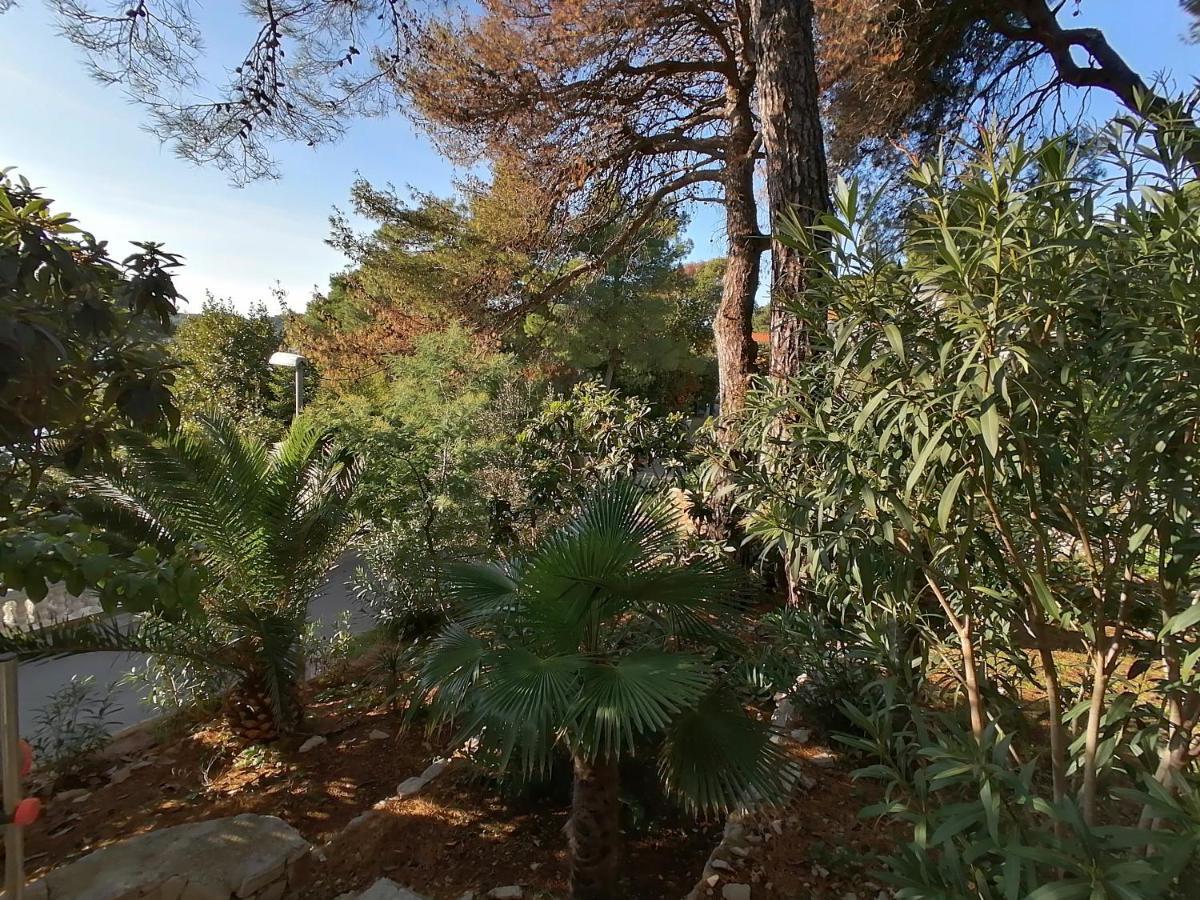 Apartment Sunshine Mali Lošinj Buitenkant foto