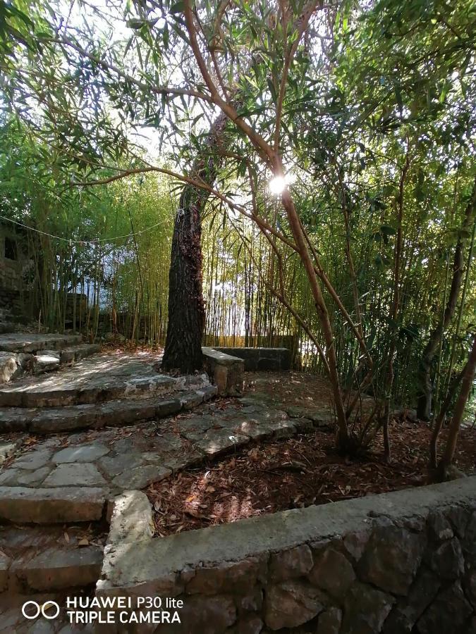 Apartment Sunshine Mali Lošinj Buitenkant foto